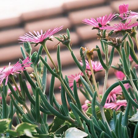 Comecasa Flowery Terraced Apartment Μιλάνο Εξωτερικό φωτογραφία